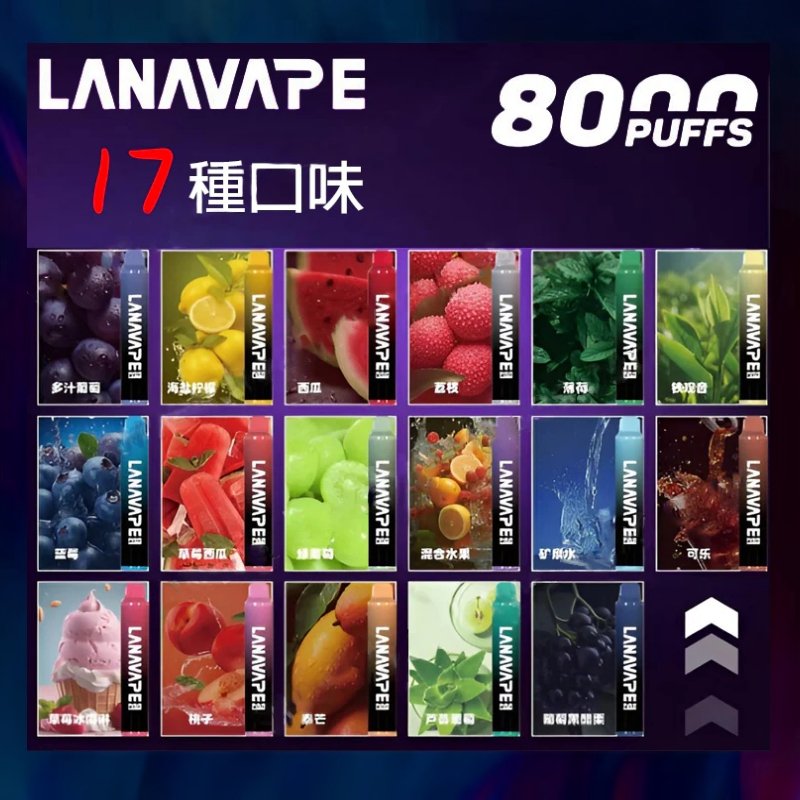 LANA 8000口